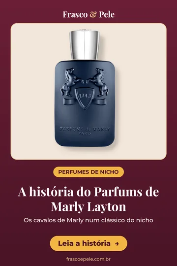Capa vertical do guia: A história do Layton